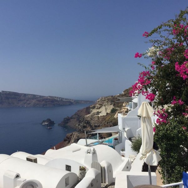 View from high above. White buildings and pink flowers. Looking out to sea.