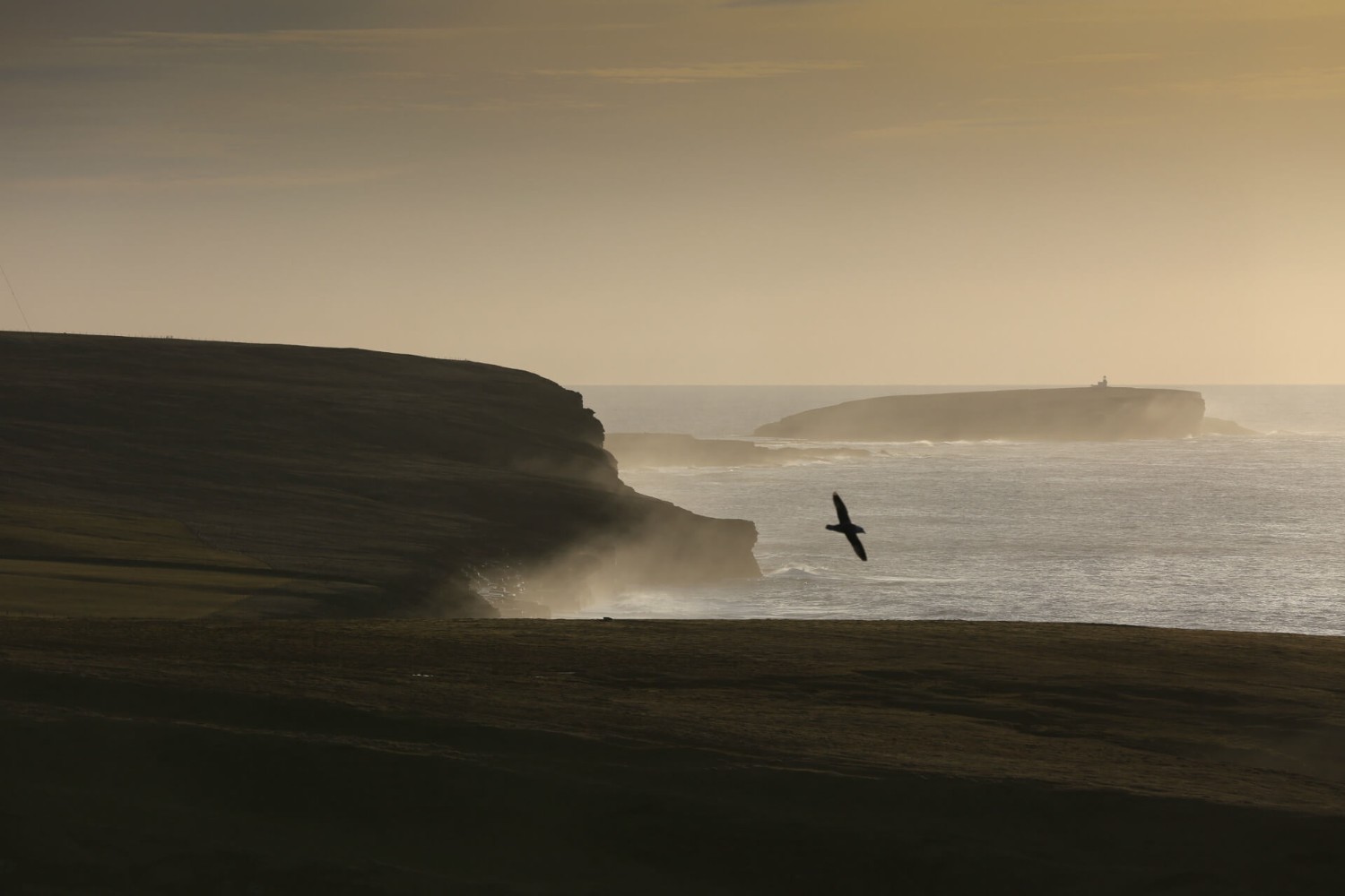 Coastal view from Orkney at dusk