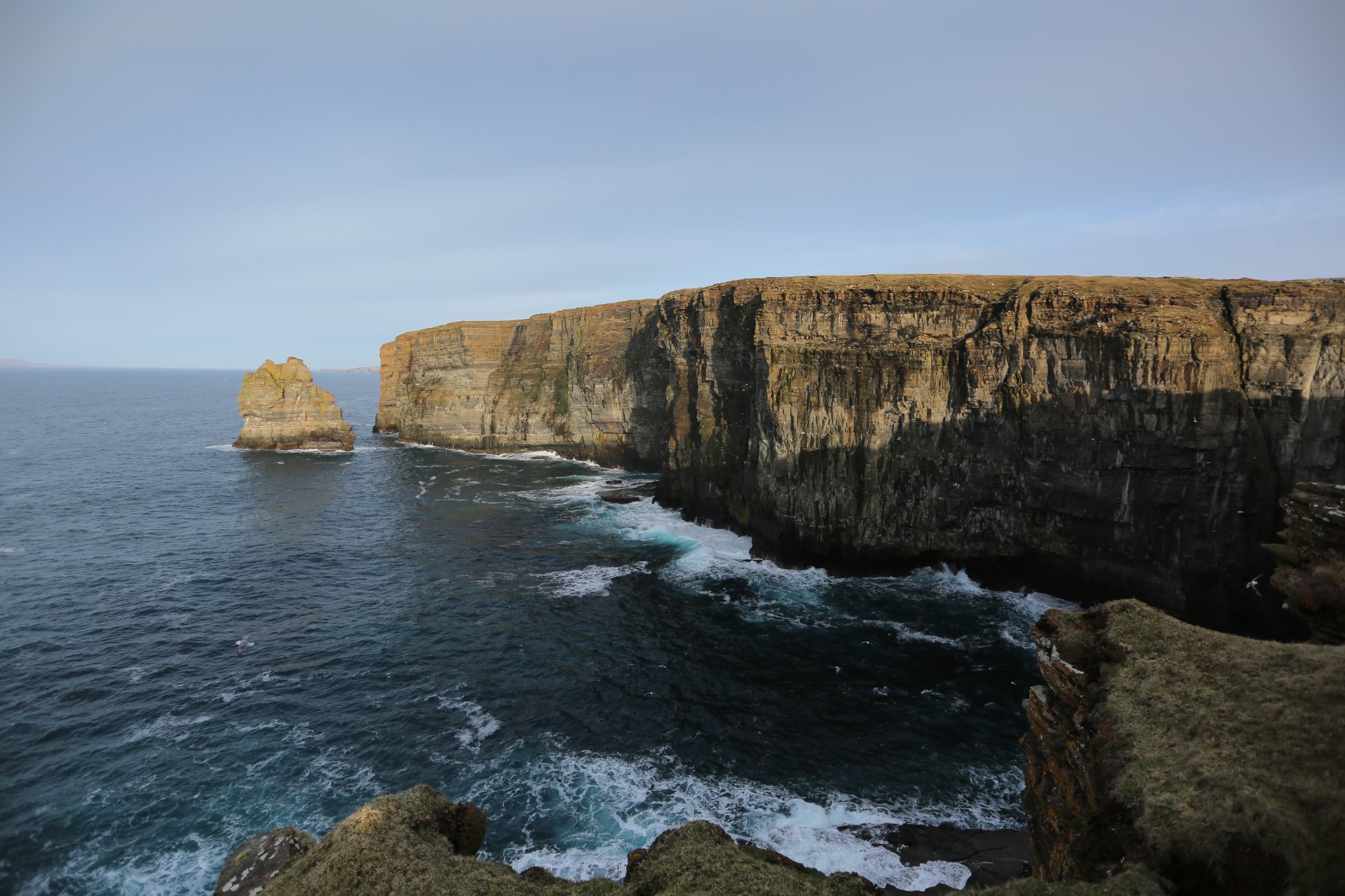 Coastal cliffs - views while walking the St Magnus Way in Scotland