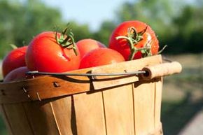 Fresh fruit can look like a tantalizingly healthy snack -- but is it actually deceiving you? See pictures of heirloom tomatoes.