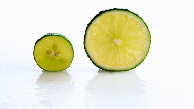 Key lime, Persian lime